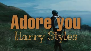 Adore You - Harry Styles Lyrics