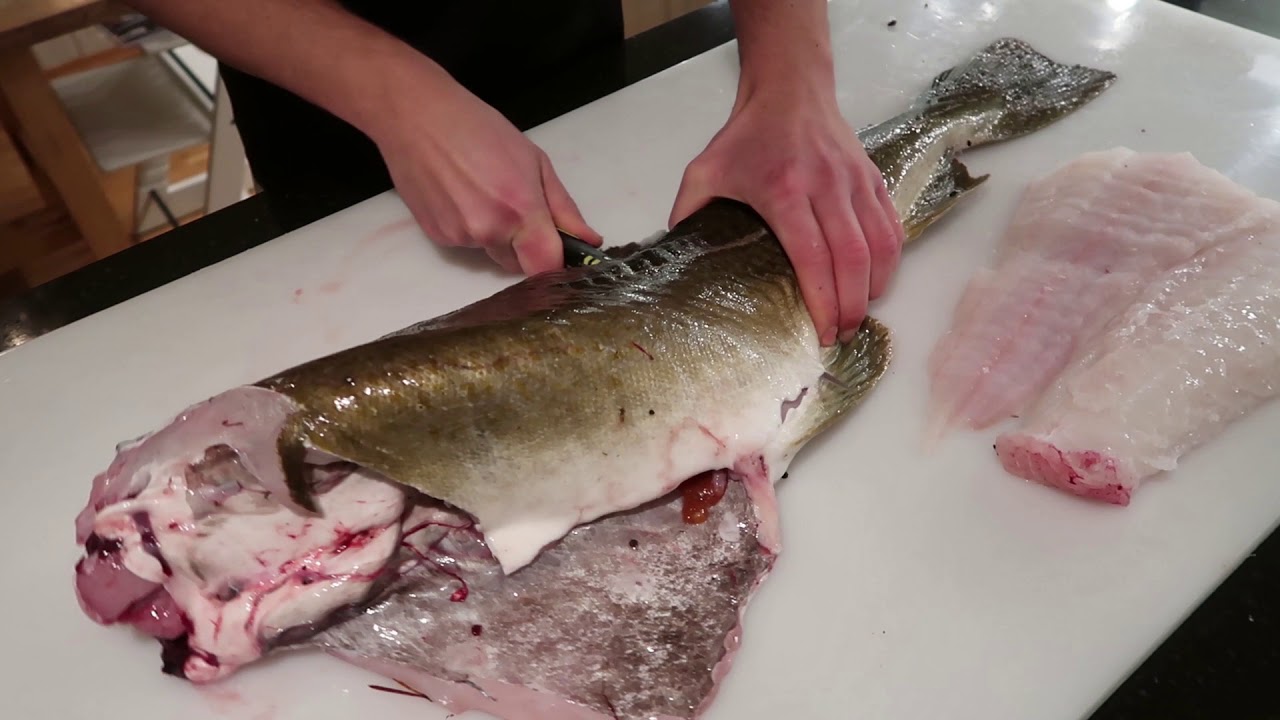 Hvordan filetere torsk