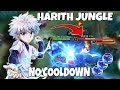 HARITH X KILLUA JUNGLE BUILD NO COOLDOWN | HARITH TOP GLOBAL