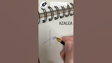 Signature Sign AZALEA #lettersign #handwriting  #namedesign #calligraphy#signwriting