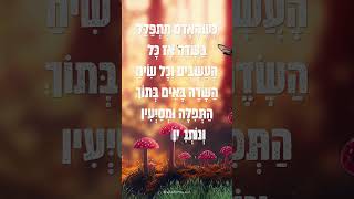 כְּשֶׁהָאָדָם מִתְפַּלֵּל בַּשָׂדֶה #fypシ゚ #ברסלב
