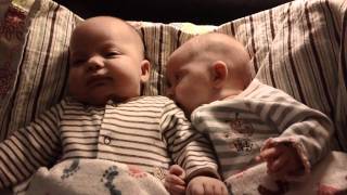 Hungry baby tries to eat her twin brother!