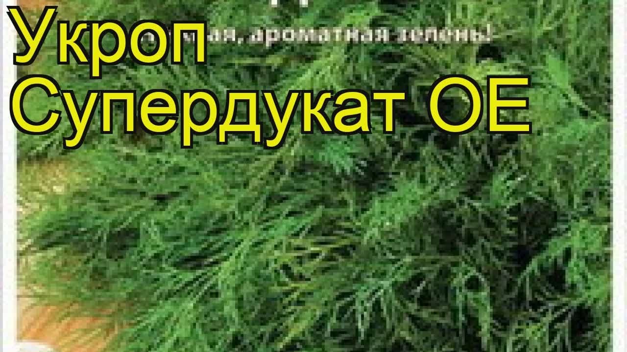 Укроп Супердукат ОЕ