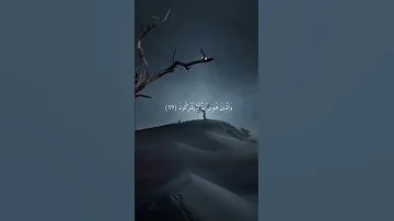 خالد الجليل سورة المؤمنون بكاء وتلاوة خاشعة تريح الاعصاب راحة نفسية المصحف وطمأنينة 