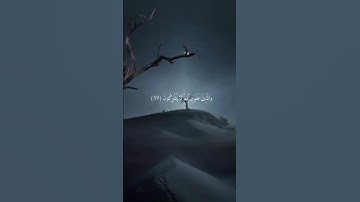 خالد الجليل سورة المؤمنون بكاء وتلاوة خاشعة تريح الاعصاب #راحة_نفسية #المصحف #وطمأنينة
