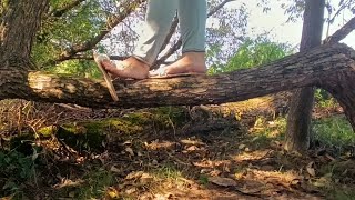 Flat Slide Mules On Tree