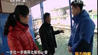 20150220 远方的家 江河万里行（209）汉江：品尝丹江鱼