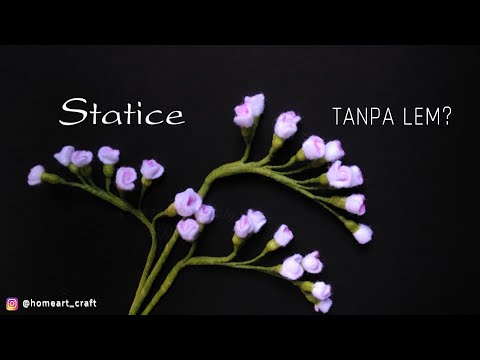 ვიდეო: როგორ იზრდება Statice თესლიდან