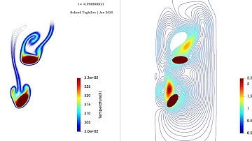 OpenFOAM® - Falling Two Hot Objects through Highly Viscous Liquid (Novel, Immersed Boundary Method)