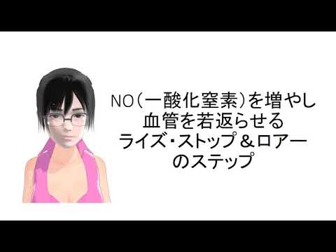 NO（一酸化窒素）を分泌し血管をしなやかにするライズ・ストップ＆ロアー法