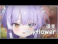 유우리 Yuuri 드라이 플라워 Dry Flower 텐코 시부키