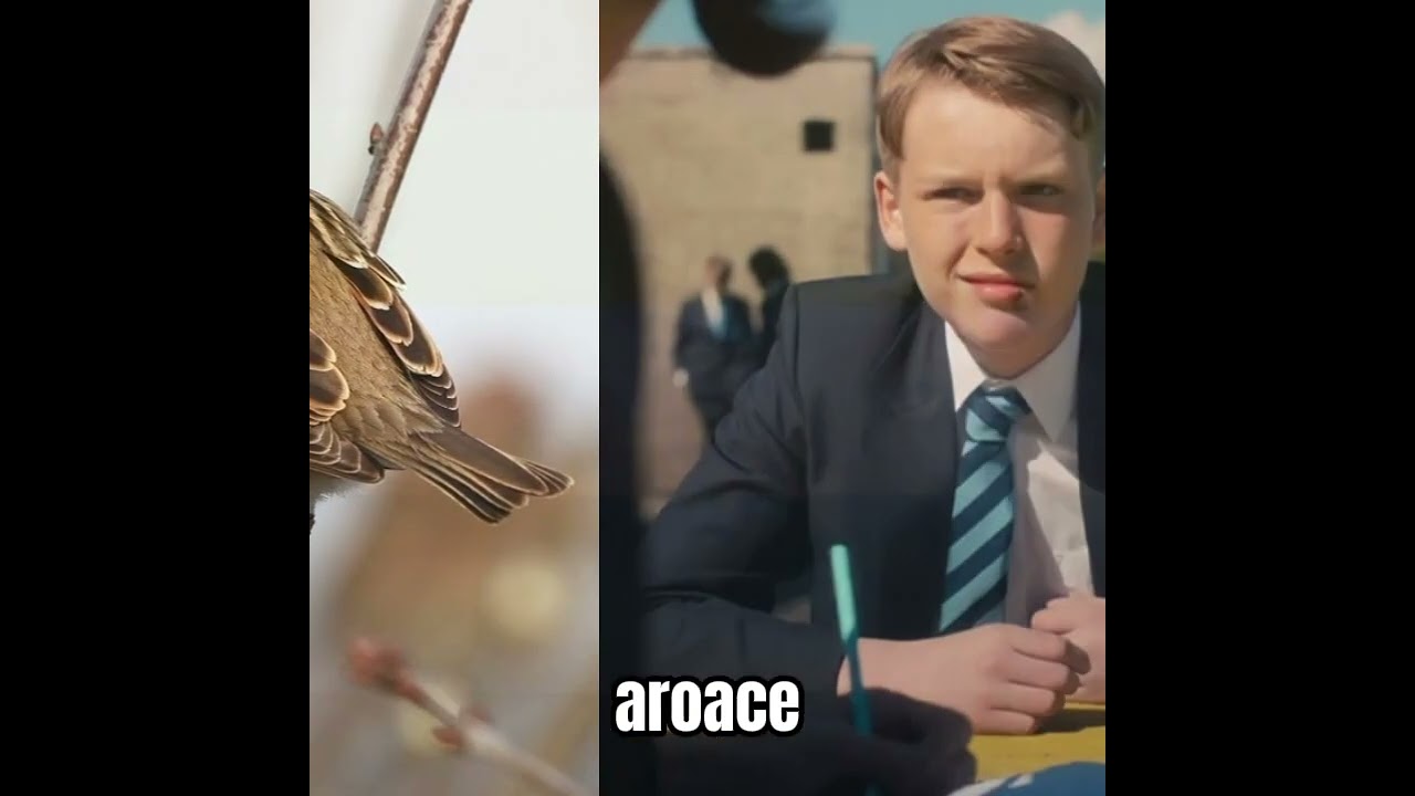 Heartstopper | air hoes | Harry Greene 