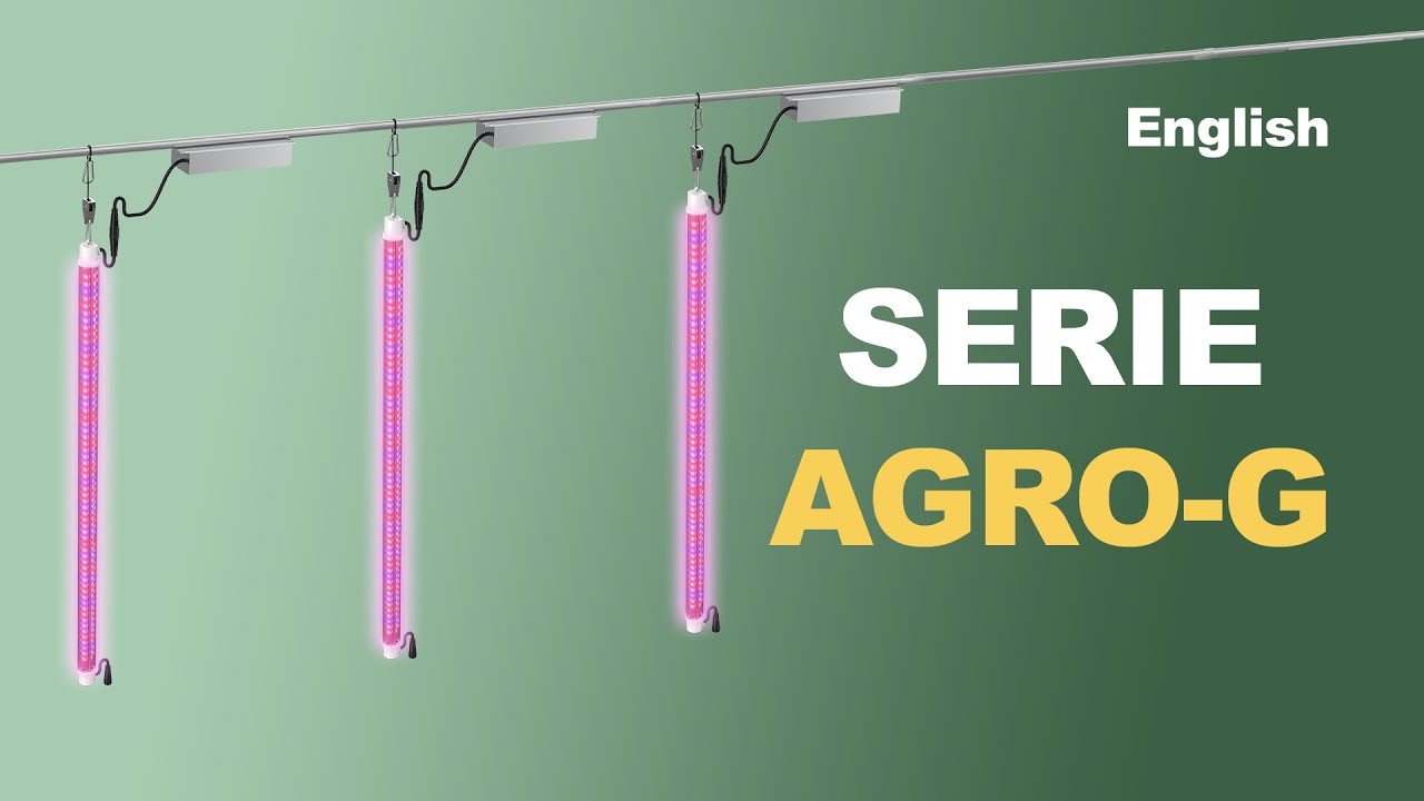 AGRO-G Series | The most advanced LED luminaire for vertical hydroponic cannabis growing