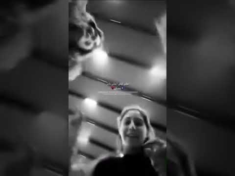 فصلات الشامي مع رفقاته بعد الساعة 12 اكسبلور الشامي اغاني   لايك اغاني الشامي