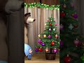 1, 2, 3! Christmas Tree, Light Up! 🎄❄️ #OneTwoThreeLightTheChristmasTree #MashaAndTheBear #Shorts