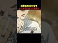 狗巻の呪言より遥かに強い乙骨の呪言 #呪術廻戦