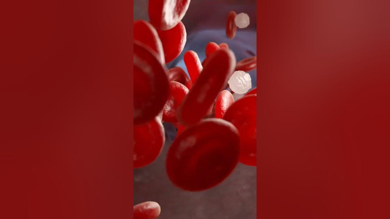 does-fish-oil-lower-blood-pressure-youtube