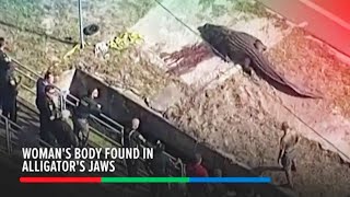 Woman's body found in Florida alligator's jaws | ABS-CBN News