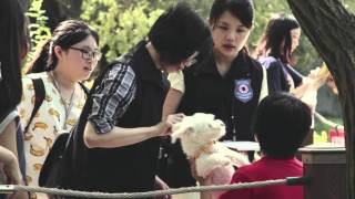 嗡嗡嗡暑期市政體驗營 紀錄影片