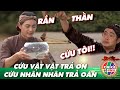 Cổ Tích 2022: CỨU VẬT VẬT TRẢ ƠN - CỨU NHÂN NHÂN TRẢ OÁN | Phim Cổ Tích Hay và Mới Nhất 2022