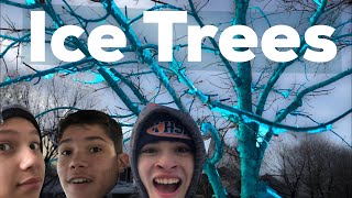 Ice Trees!!! - The Random Bros