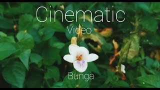 Aesthetic ~ Cinematic Video Bunga 30 detik | Story WhatsApp