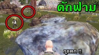 Infestation Thailand โล นด กฟาม ห วร อน Pajo Youtube - download roblox blox piece ep59 สปอยล update8 ผลปศาจ