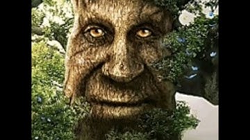 Wise Mystical Tree [1 Hour]