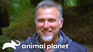 Uncovering Bigfoot's Secrets in Santa Cruz | Finding Bigfoot | Animal Planet