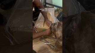 She Would Live In Our Skin If She Could