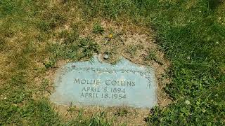 THE SECRET IN THE HATFIELD FAMILY TREE! Mollie Hatfield Ratliff Collins