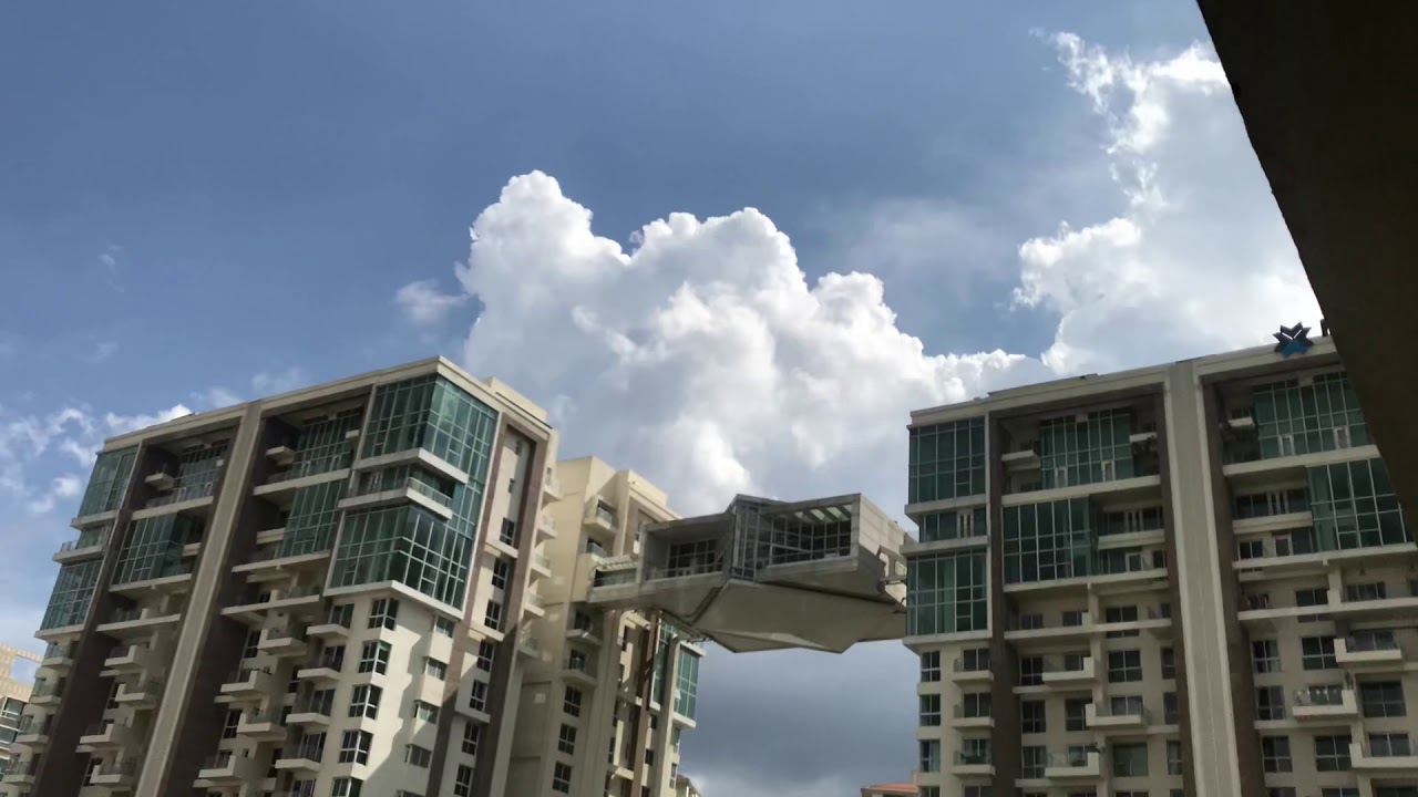 RMZ Latitude and Brigade caladium