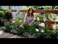 Tips for Planting a Cottage Garden! 🌸🌿// Garden Answer