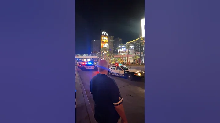 WOW! ARIA Hotel & Casino - Las Vegas, Nevada