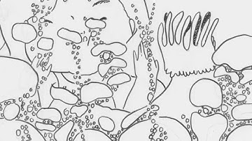 Introduction to Animation, Assignment 2