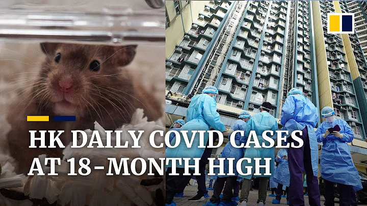 Hong Kong reports 140 new human cases of Covid-19 and one from a surrendered hamster - DayDayNews