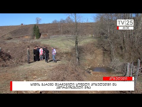 ხიდის გარეშე დარჩენილი სოფელი ქობულეთში და ამორტიზებული გზა
