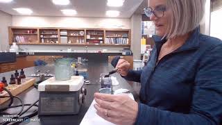 microbiology endospore stain 202110