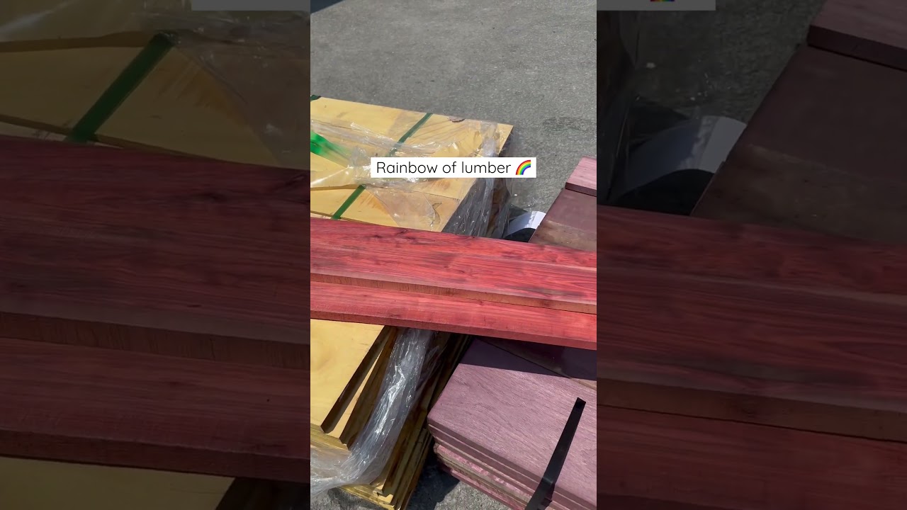 👀🌈Ever seen these before? 