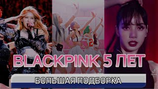 Большая Подборка С Blackpink Из Тик Ток В Честь Юбилея❤️ Blackpink 5 Лет🖤 (Blackpink Edits)