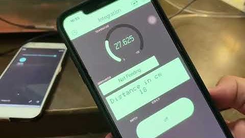 Smart Aquarium With IoT.