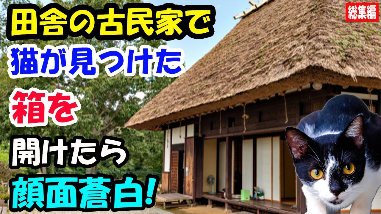 田舎の古民家に引っ越したら家の中に猫がいた! 猫が床下から見つけた箱を開けたらトンデモナイものが!?警察に連絡した夫が顔面蒼白【猫の不思議な話】【総集編】