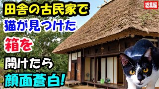 田舎の古民家に引っ越したら家の中に猫がいた! 猫が床下から見つけた箱を開けたらトンデモナイものが!?警察に連絡した夫が顔面蒼白【猫の不思議な話】【総集編】