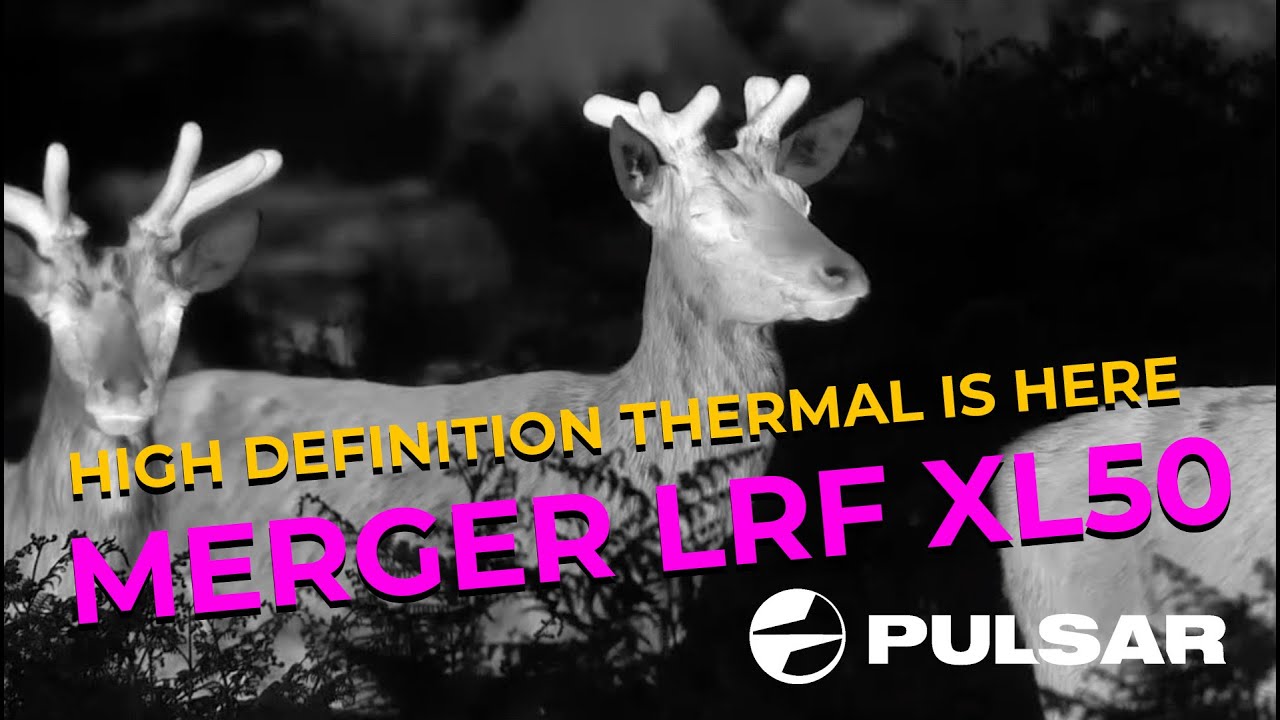 High Definition Thermal is Here Pulsar Merger XL50 Thermal Deer
