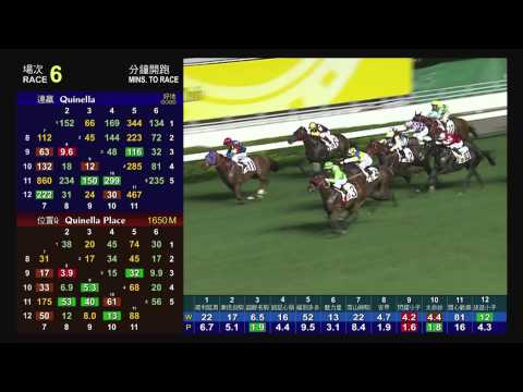 超群名駒 (M228) 柏寶 02/05/2012