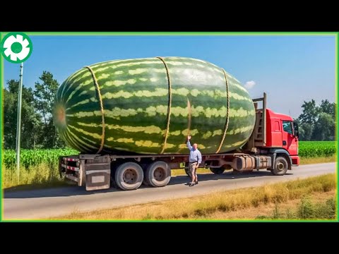Terrible Off-Road Truck: You Will Be Shocked Truck and Agriculture Technology Machines #1