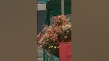 تلاوة عذبة تسمو بالروح من سورة الإسراء #القرآن_الكريم #تلاوة #المصحف #سورة_الإسراء #خشوع