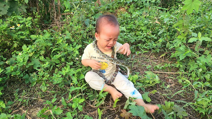 The Careless Mother Left Her Child Alone And Was Bitten On The Neck By A Snake_Tiểu Ái Single Mother - DayDayNews