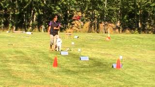 Dimma Rallylydnad Uddevalla 2015
