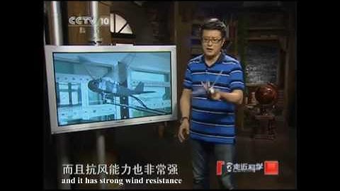 Military Mini  Bionic Flapping-wing  UAV